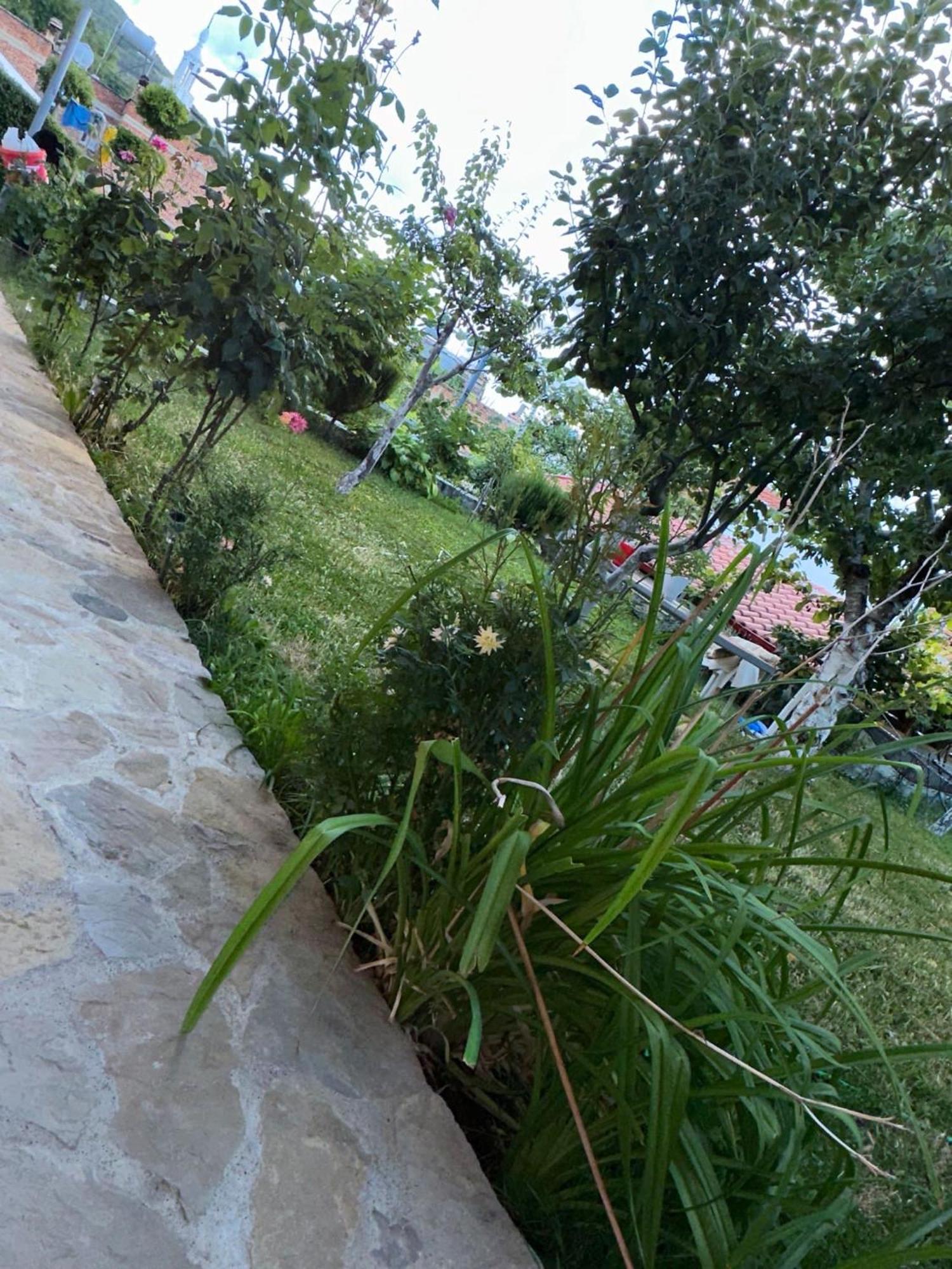 Villa Gardenhouse Memlishte Exterior foto